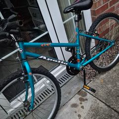 apollo kids youngster bike 24 inch wheels