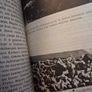 Holocaust / Israel Pocket library / 1974 Image 9