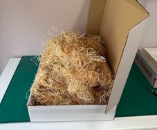 1.5kg Wood Wool Hamper Filler