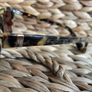 sunglasses Women Hobbs Brand new Image 3