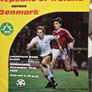 ireland v Denmark Image 2