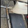 Preacher Bench Image 4