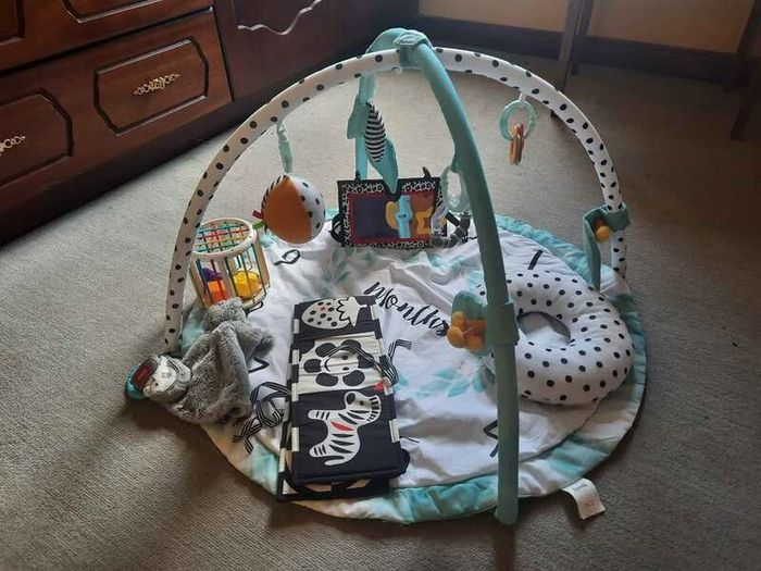 Lot of Newborn Toys, High Contrast