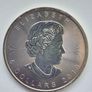 1 oz Canadian Maple Leaf Silver Bullion Coins Image 3