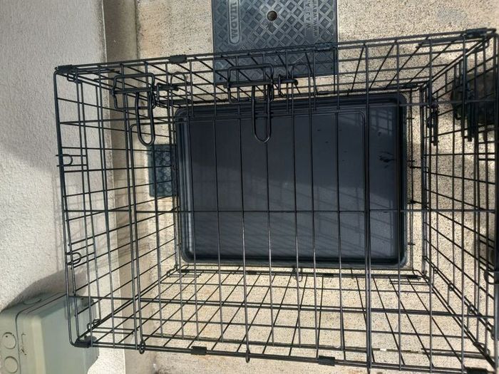 small dog travel crate