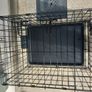 small dog travel crate Image 4