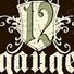 12gauge