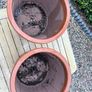 Set of 2 garden pots Image 3