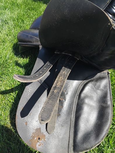 Black Saddle