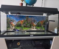 Fish tank