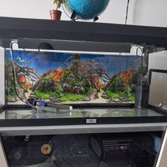 Fish tank