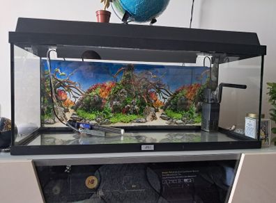 Fish tank