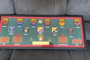 Irish Army Badge Collection Framed