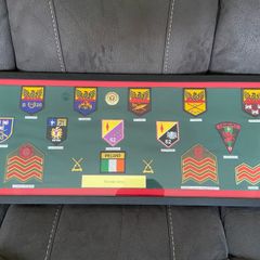Irish Army Badge Collection Framed