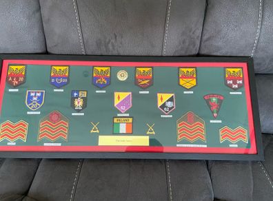Irish Army Badge Collection Framed