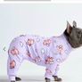 spark paws dog clothes Image 3