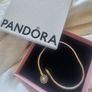 Pandora Bracelet Image 2