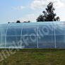 Aw6 Polytunnel Greenhouse   6.0 x 3.0 x 2.1 m Image 6