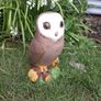 Owl Image 2