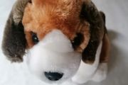 Dog Plush