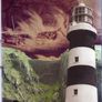 Their Bones Are Scattered - A History Of The Old Head Of Kinsale And Surrounding Area - Raymond White Image 3