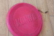 Kong dog frisbee