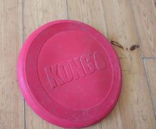 Kong dog frisbee