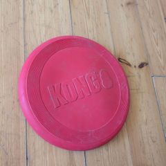 Kong dog frisbee