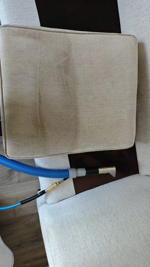 Professional Carpet and Upholstery Cleaning