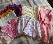Girls Clothes 2-3y