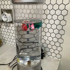 decorative lamp