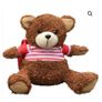 Max Mind power sensory bear with book - as new Image 2