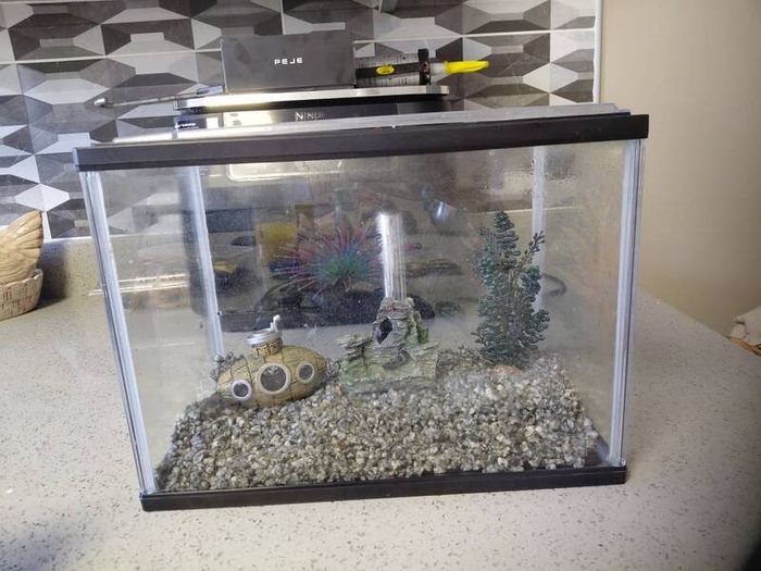 fish tank