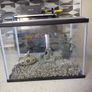 fish tank Image 3