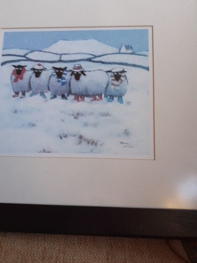 Thomas Joseph framed print