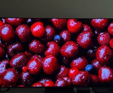 Samsung S95c Oled Tv 65"