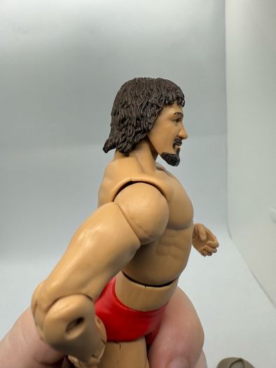 wwe elite legends series 2 Terry Funk action figure