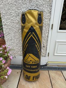 Heavy Filled 120cm Punching Bag with Roof Hanging Kit