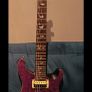 PRS Custom Guitar Image 2