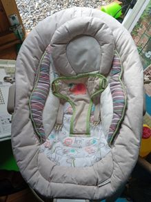 baby rocker