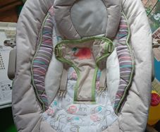 baby rocker