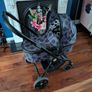 Cosatto Wowee push chair Image 3