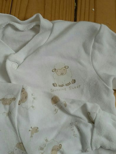 baby grows