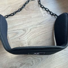 Dip Belt