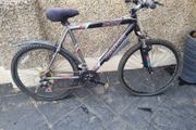 bike small fixing