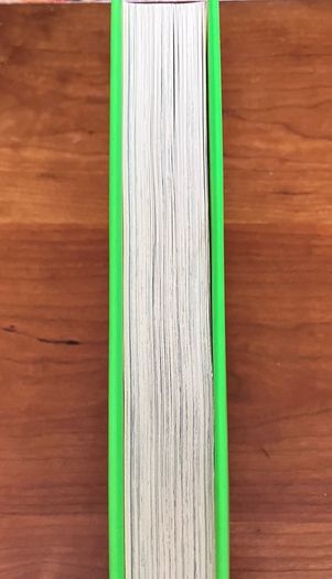 Slime by David Walliams