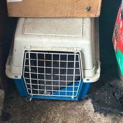 dog crate