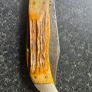 EVintage 1965 CASE XX 5172 Bulldog Stag Folding Pocket Knife USAnter a catchy title Image 2