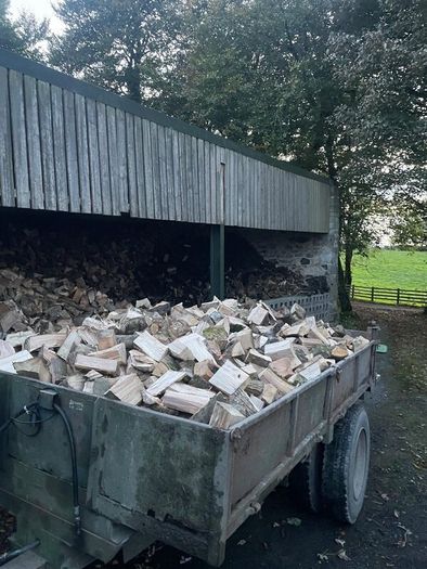 Firewood