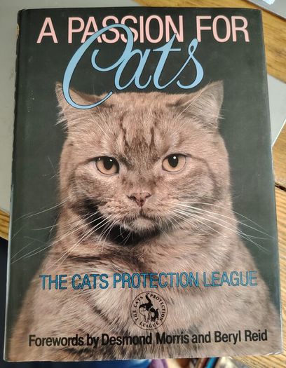 The World of Cats